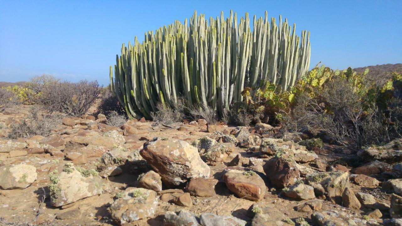 C101 Los Balandros Palm-mar Esterno foto
